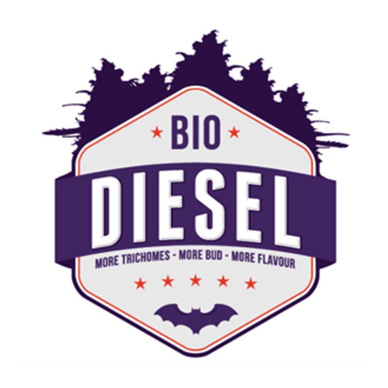 Bio Diesel